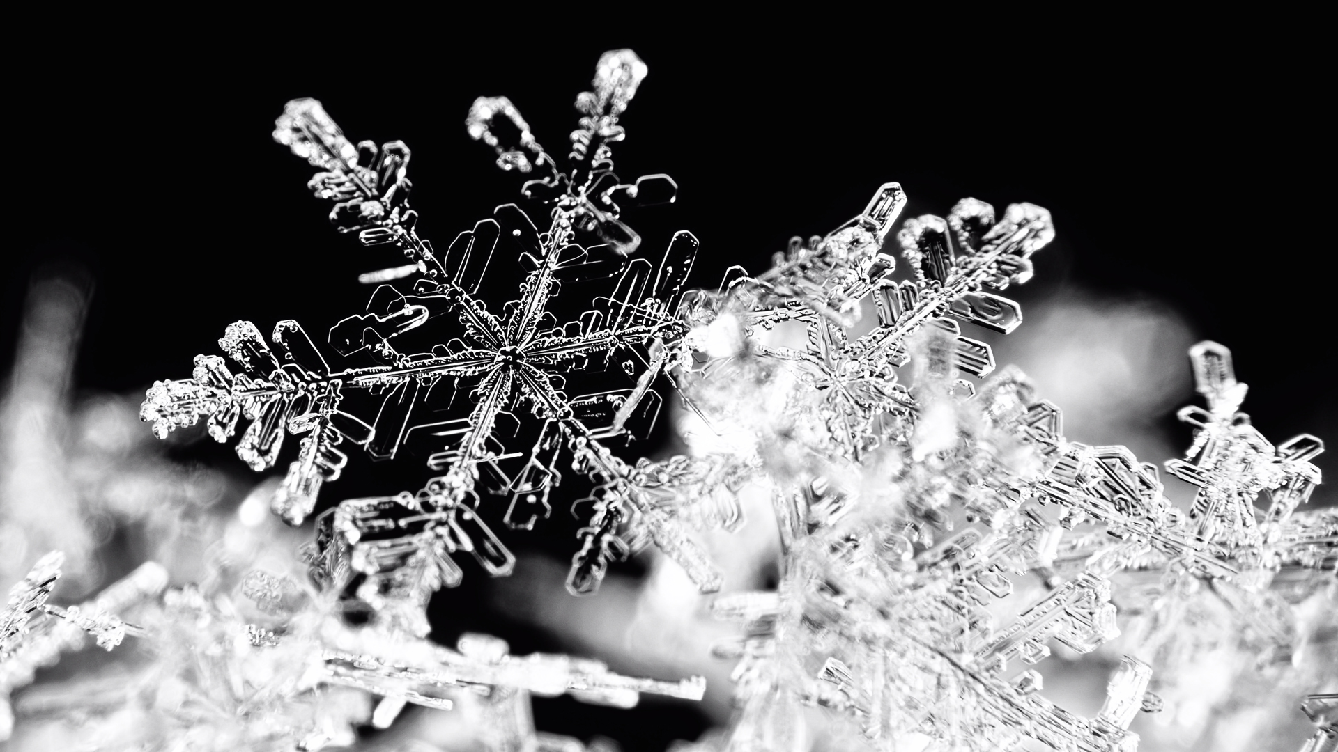An extremely close up photo taken of a snowflake