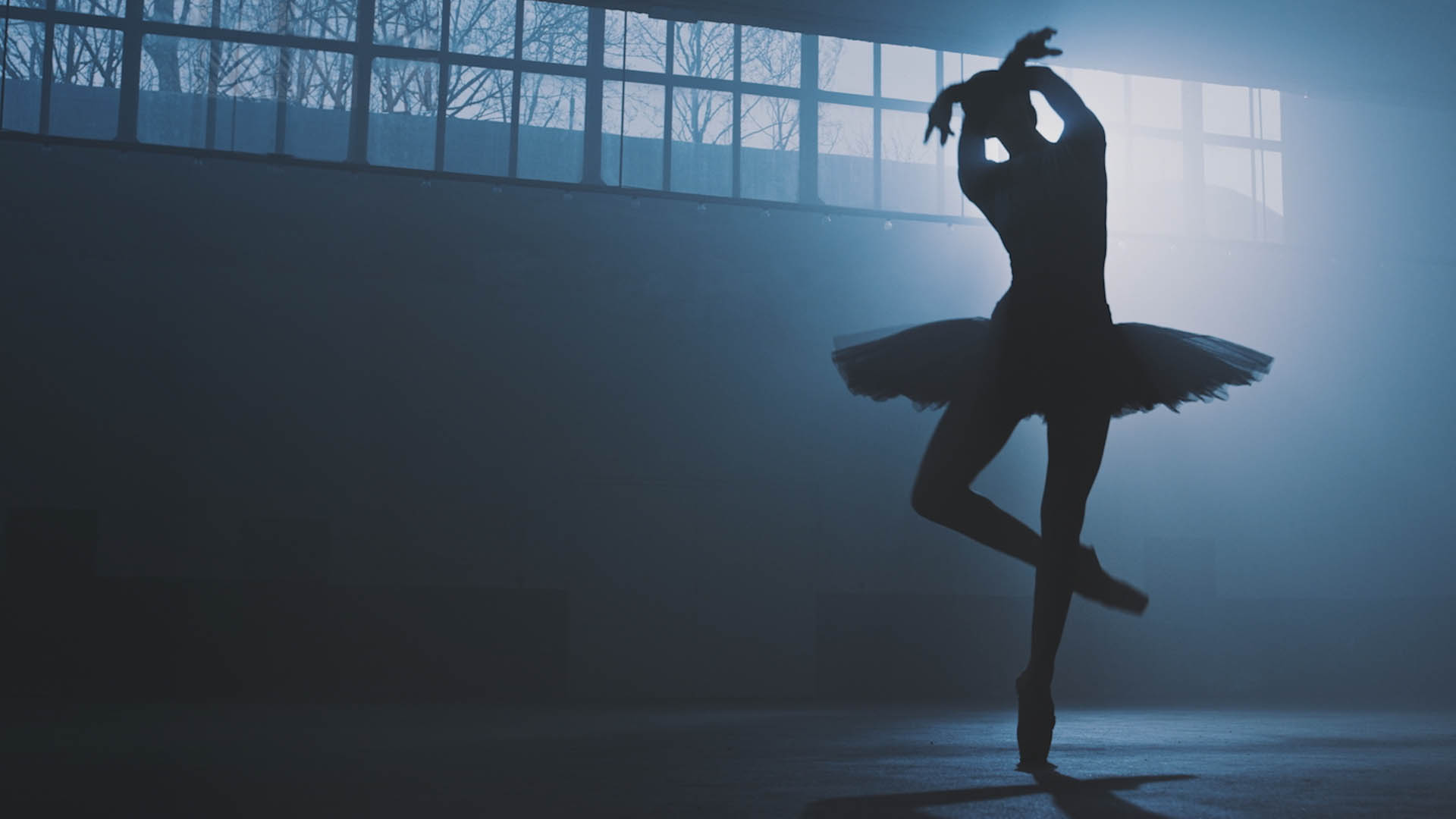 Photo of the silhouette of a ballerina dancing in a spotlight