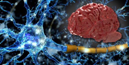 Image of neural impulses firing off alongside the image of a human brain