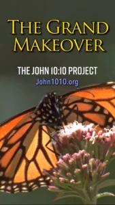 photograph of a Monarch Butterfly perched atop a flower
