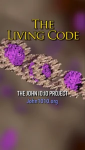 A computer generated 3d model of a strand of DNA