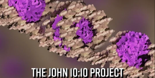 A computer generated 3d model of a strand of DNA